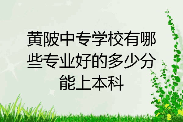 黄陂中专学校有哪些专业好的多少分能上本科