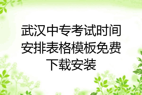 武汉中专考试时间安排表格模板免费下载安装