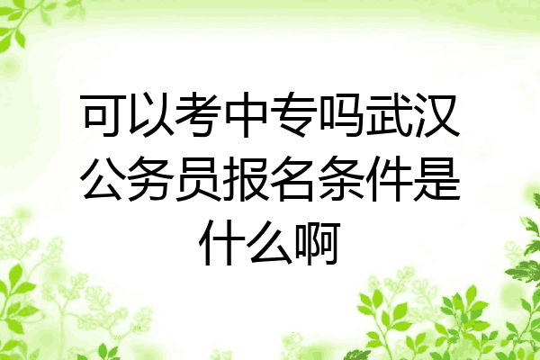 可以考中专吗武汉公务员报名条件是什么啊