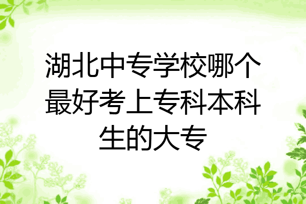 湖北中专学校哪个最好考上专科本科生的大专