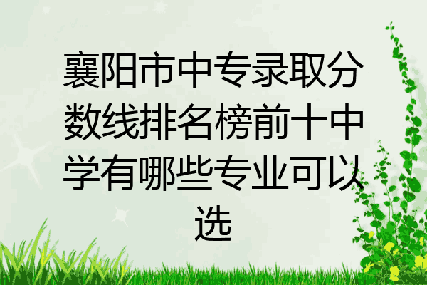 襄阳市中专录取分数线排名榜前十中学有哪些专业可以选