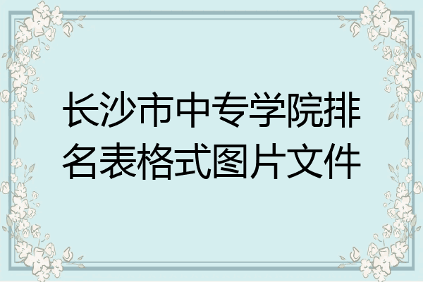 长沙市中专学院排名表格式图片文件