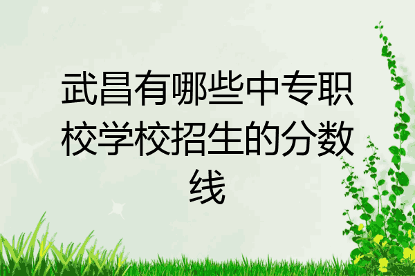 武昌有哪些中专职校学校招生的分数线