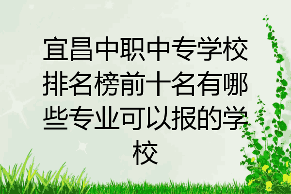 宜昌中职中专学校排名榜前十名有哪些专业可以报的学校
