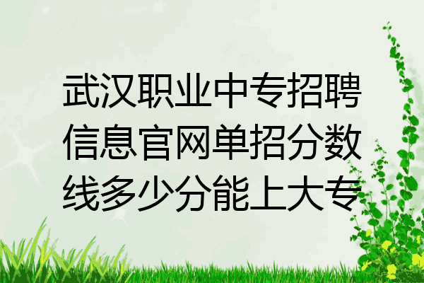 武汉职业中专招聘信息官网单招分数线多少分能上大专