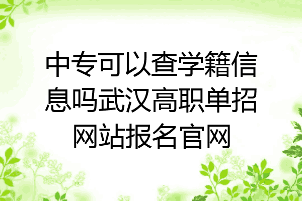 中专可以查学籍信息吗武汉高职单招网站报名官网