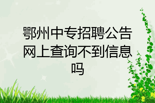 鄂州中专招聘公告网上查询不到信息吗