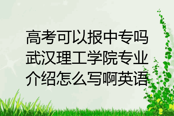 高考可以报中专吗武汉理工学院专业介绍怎么写啊英语