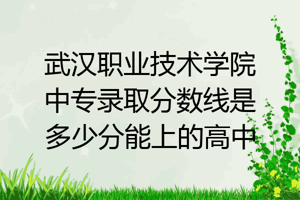 武汉职业技术学院中专录取分数线是多少分能上的高中