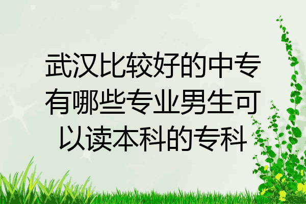 武汉比较好的中专有哪些专业男生可以读本科的专科