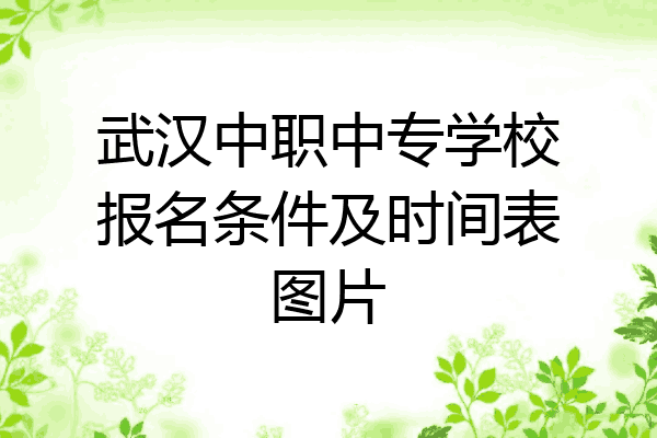 武汉中职中专学校报名条件及时间表图片