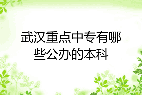 武汉重点中专有哪些公办的本科