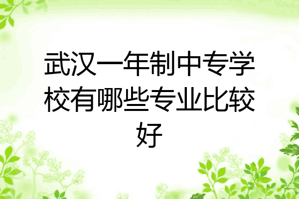 武汉一年制中专学校有哪些专业比较好
