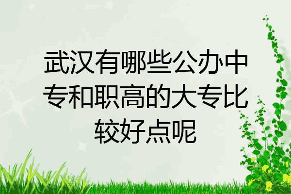 武汉有哪些公办中专和职高的大专比较好点呢