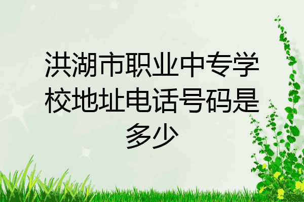 洪湖市职业中专学校地址电话号码是多少