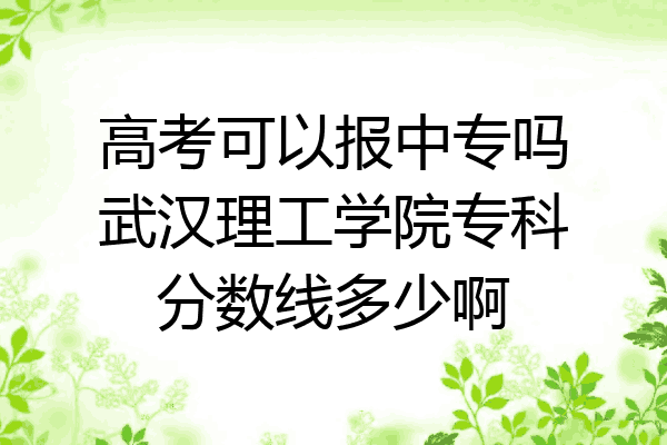 高考可以报中专吗武汉理工学院专科分数线多少啊