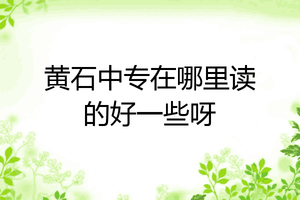 黄石中专在哪里读的好一些呀