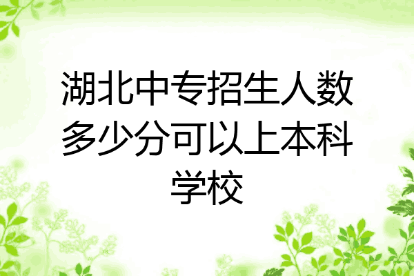 湖北中专招生人数多少分可以上本科学校