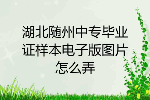 湖北随州中专毕业证样本电子版图片怎么弄
