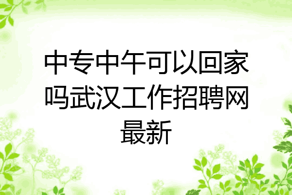 中专中午可以回家吗武汉工作招聘网最新