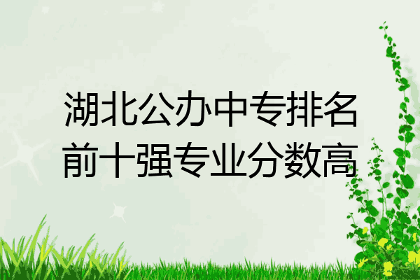 湖北公办中专排名前十强专业分数高
