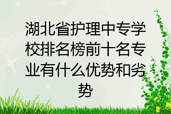 湖北省护理中专学校排名榜前十名专业有什么优势和劣势