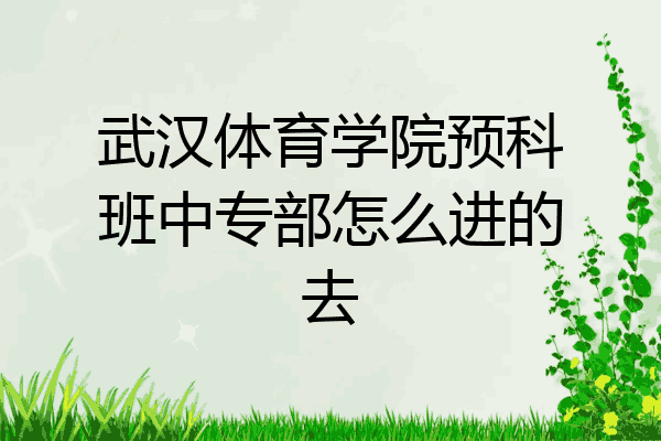 武汉体育学院预科班中专部怎么进的去