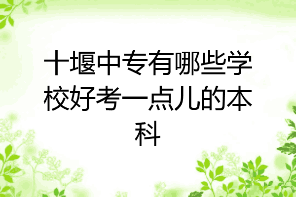 十堰中专有哪些学校好考一点儿的本科