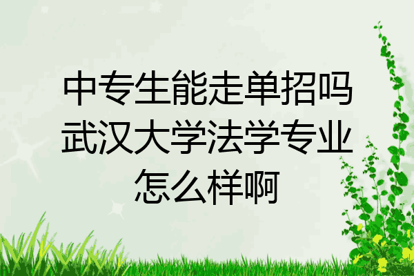 中专生能走单招吗武汉大学法学专业怎么样啊