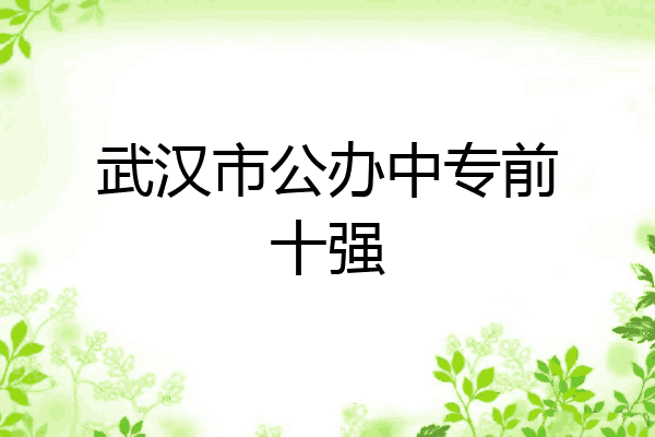 武汉市公办中专前十强