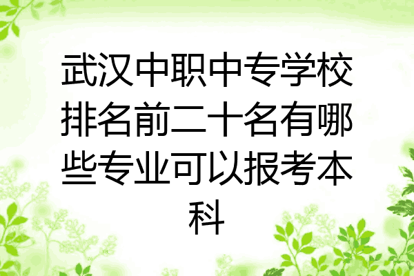 武汉中职中专学校排名前二十名有哪些专业可以报考本科