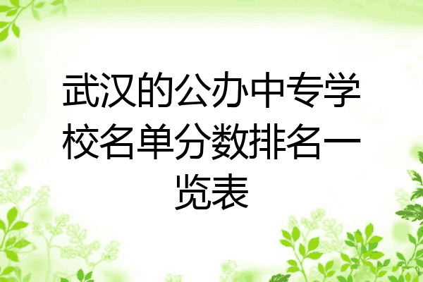武汉的公办中专学校名单分数排名一览表