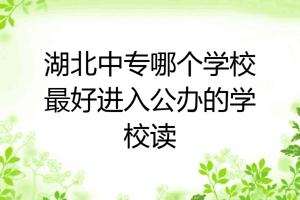 湖北中专哪个学校最好进入公办的学校读