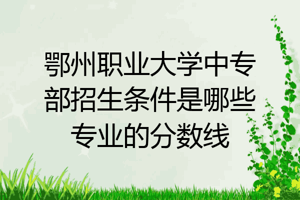 鄂州职业大学中专部招生条件是哪些专业的分数线