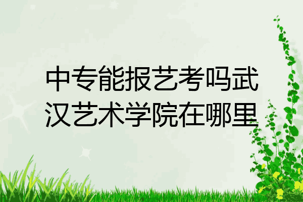 中专能报艺考吗武汉艺术学院在哪里