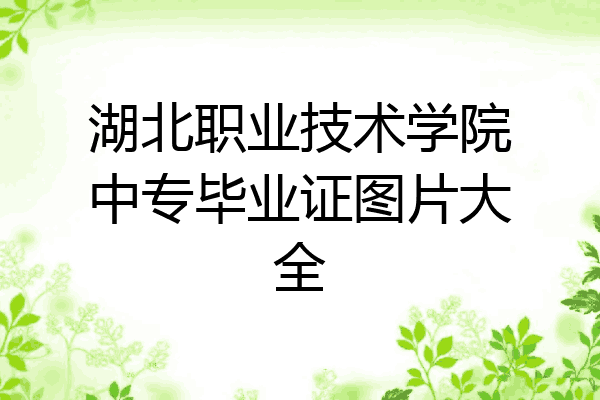 湖北职业技术学院中专毕业证图片大全
