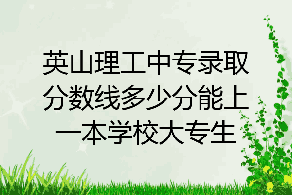 英山理工中专录取分数线多少分能上一本学校大专生