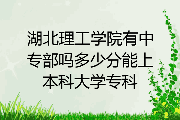 湖北理工学院有中专部吗多少分能上本科大学专科