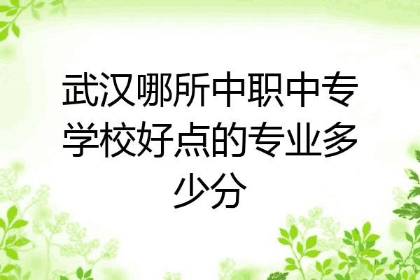 武汉哪所中职中专学校好点的专业多少分