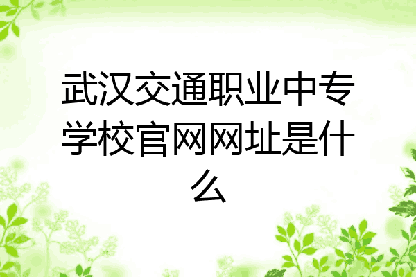 武汉交通职业中专学校官网网址是什么