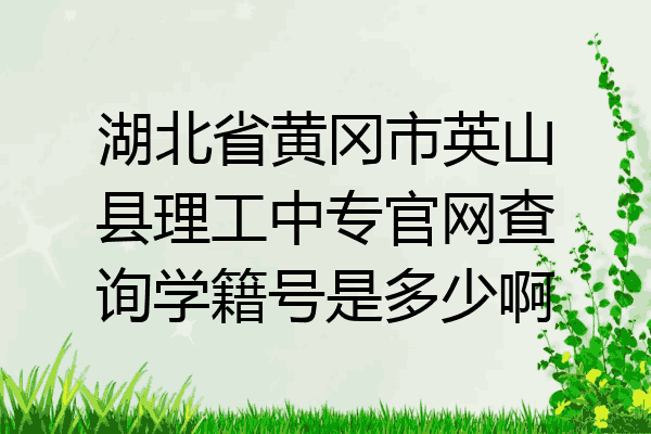 湖北省黄冈市英山县理工中专官网查询学籍号是多少啊