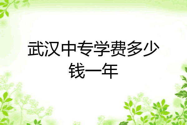 武汉中专学费多少钱一年