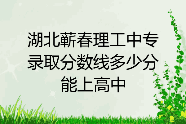 湖北蕲春理工中专录取分数线多少分能上高中