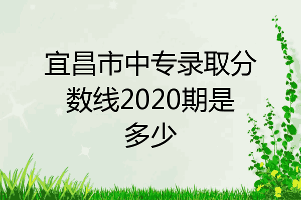 宜昌市中专录取分数线2020期是多少