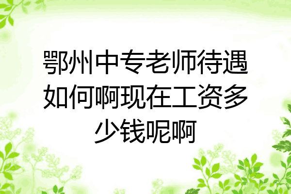 鄂州中专老师待遇如何啊现在工资多少钱呢啊