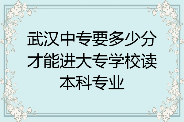 武汉中专要多少分才能进大专学校读本科专业