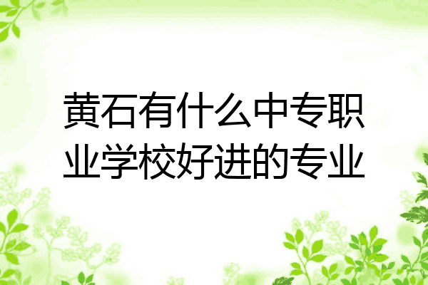 黄石有什么中专职业学校好进的专业