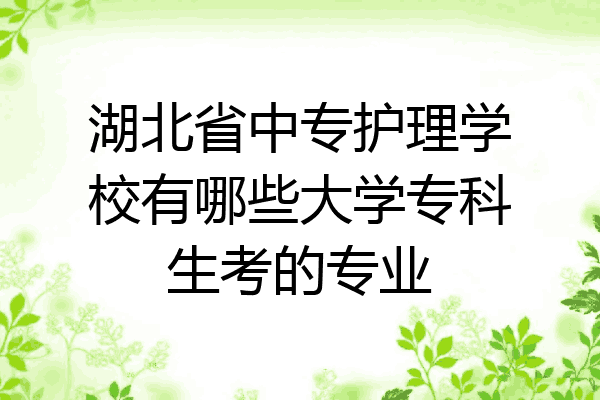 湖北省中专护理学校有哪些大学专科生考的专业