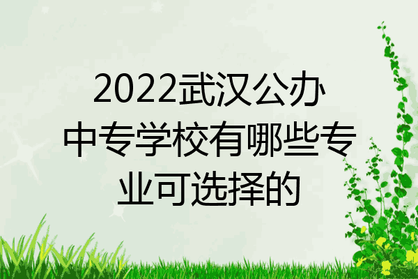 2022武汉公办中专学校有哪些专业可选择的