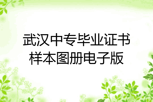 武汉中专毕业证书样本图册电子版
